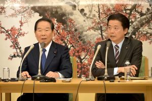 Imperial succession Imperial House Law